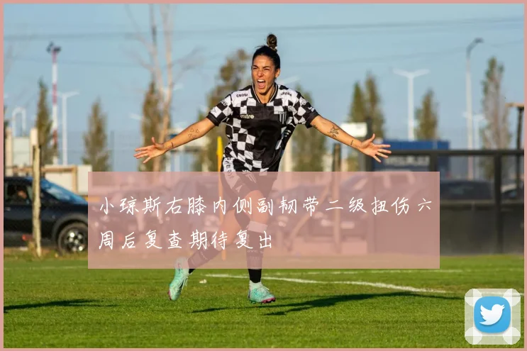 小琼斯右膝内侧副韧带二级扭伤六周后复查期待复出