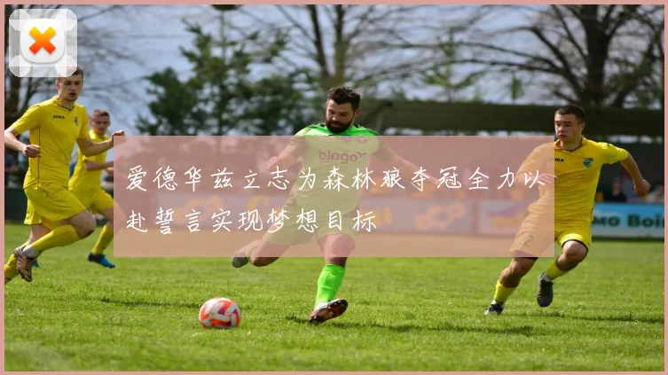 爱德华兹立志为森林狼夺冠全力以赴誓言实现梦想目标