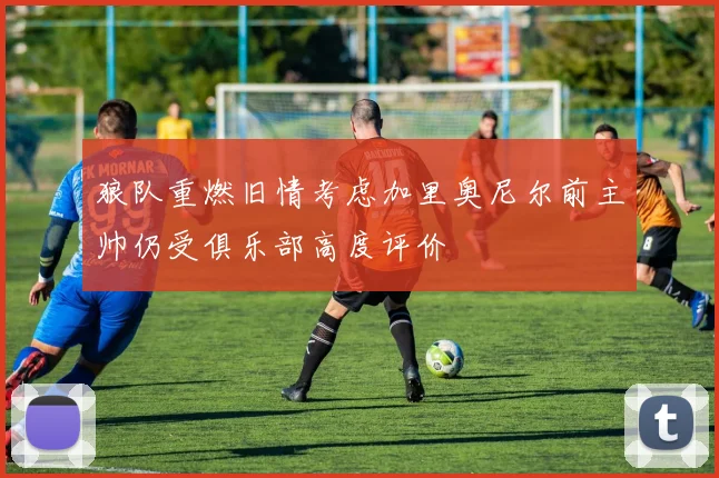 狼队重燃旧情考虑加里奥尼尔前主帅仍受俱乐部高度评价