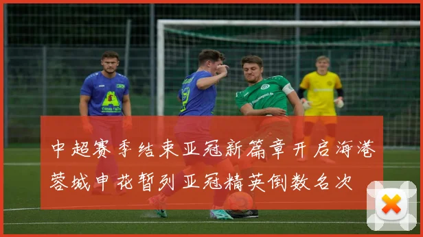 中超赛季结束亚冠新篇章开启海港蓉城申花暂列亚冠精英倒数名次